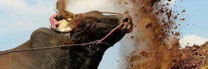 arulselvan34's profile banner image