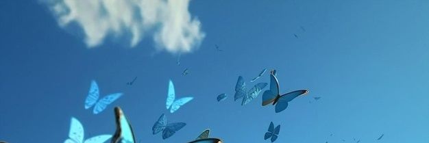 MrNoBlood's profile banner image