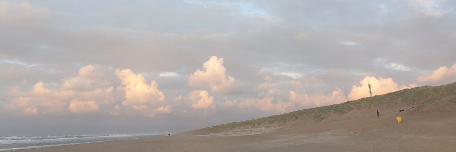 DickHulstein's profile banner image