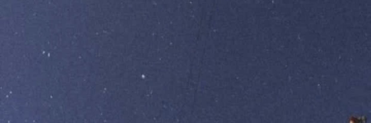 trkrde's profile banner image