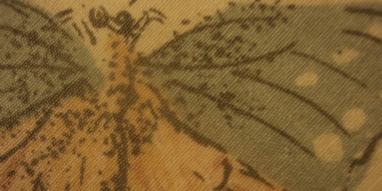HPaukov's profile banner image
