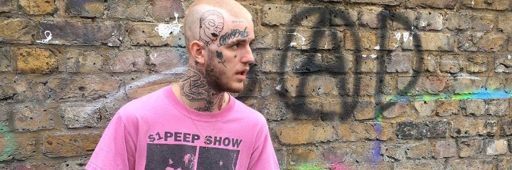 wistfulmatthew's profile banner image