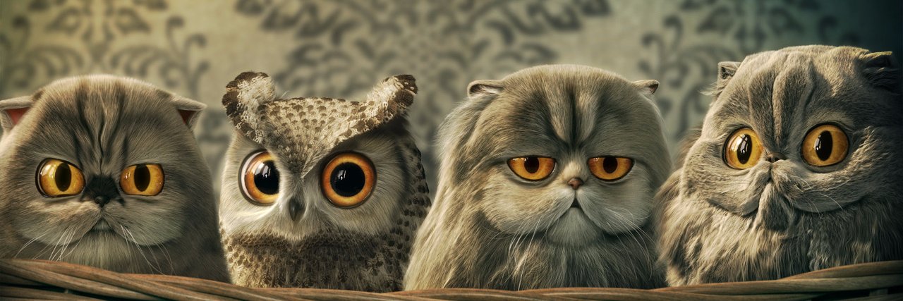 rebeckhadoyle's profile banner image