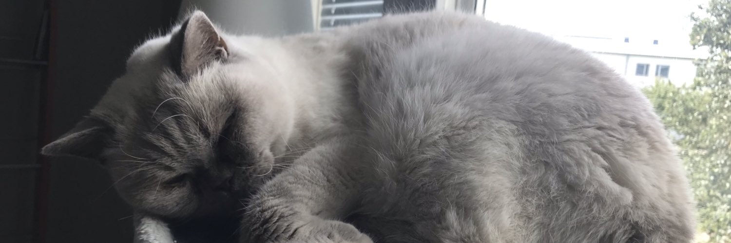 MalinSandstrm's profile banner image