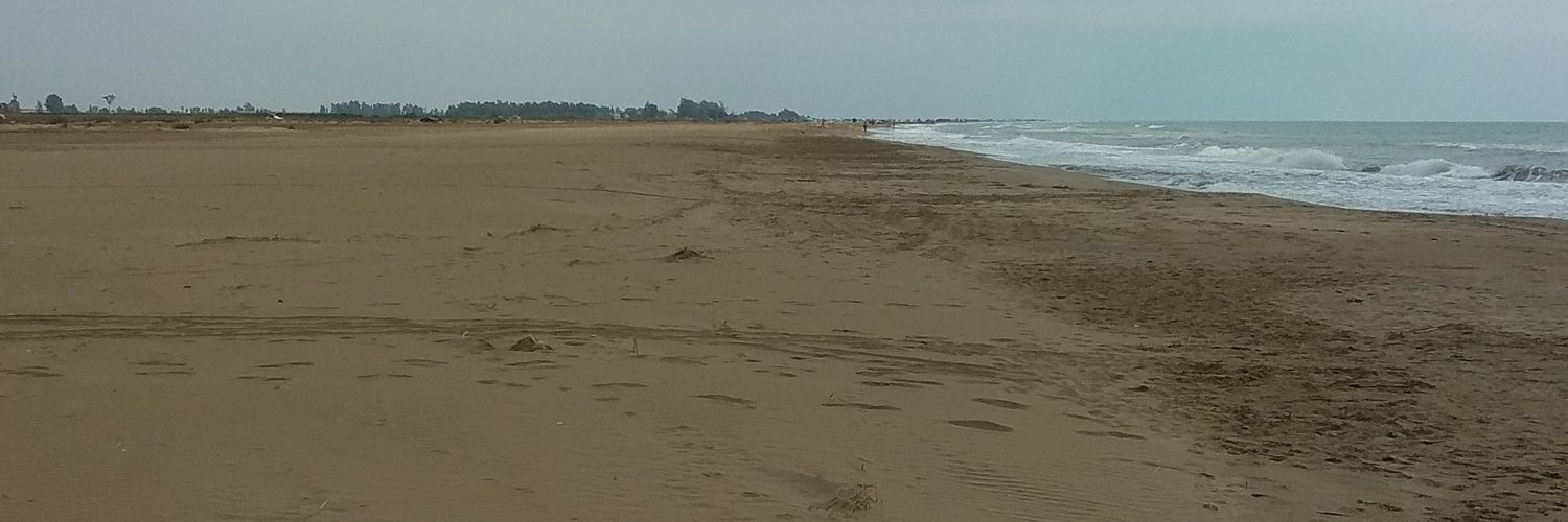 Raul orus diaz banner