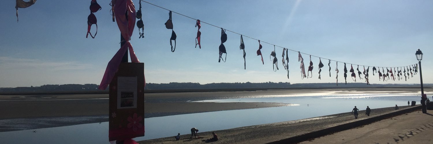 Cécile Gillet-Giraud banner