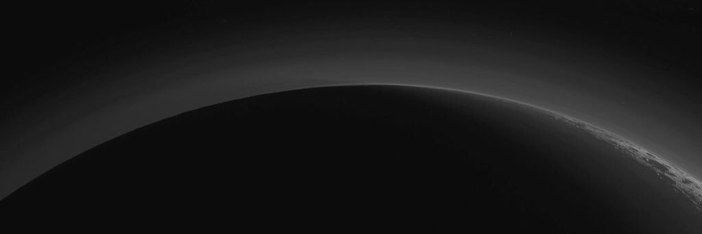 Cimicidae's profile banner image