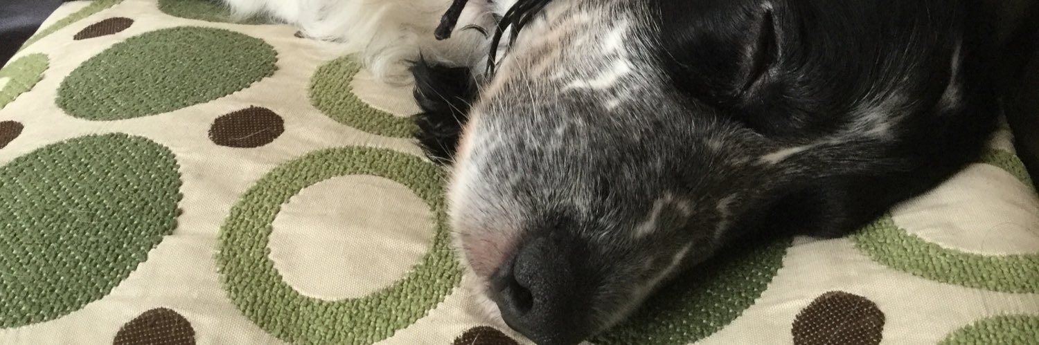 henda1010's profile banner image