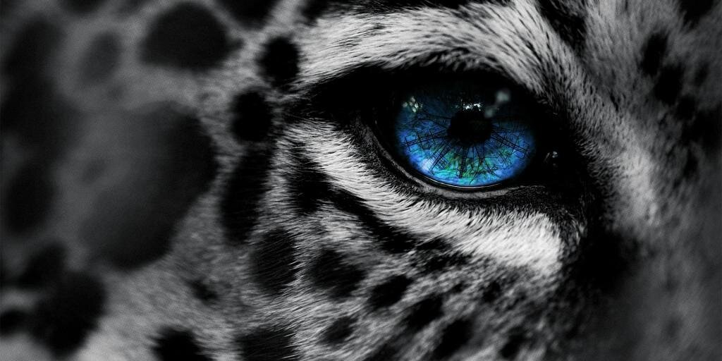 a_alisite's profile banner image