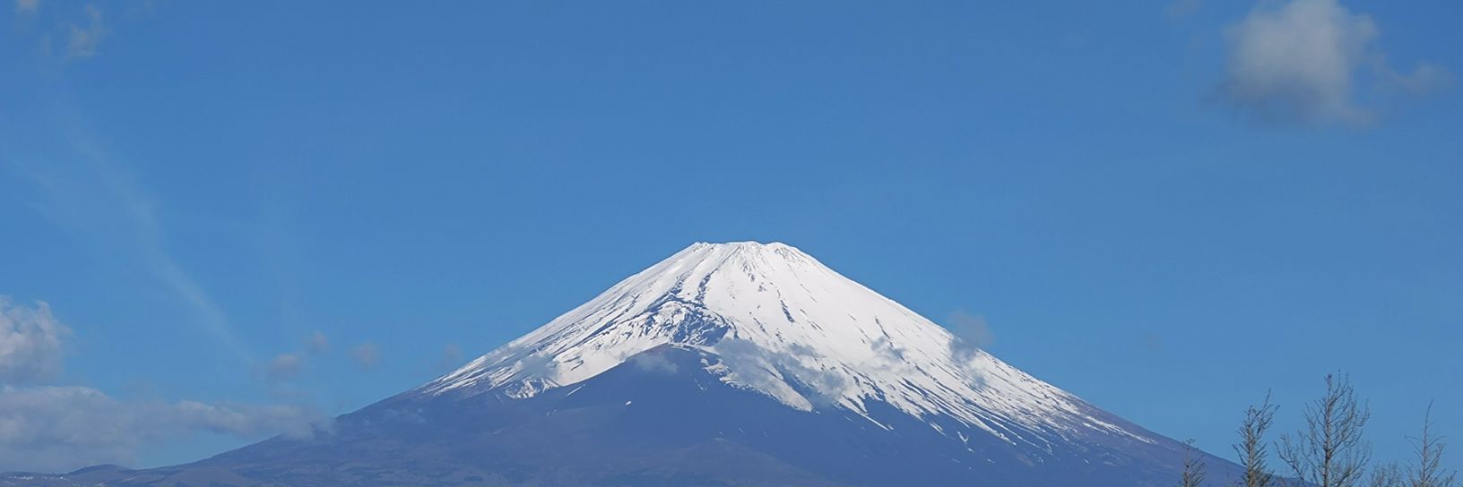 saryubon016's profile banner image