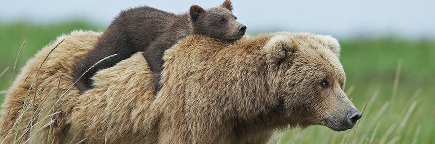 Benjamin Kruse banner