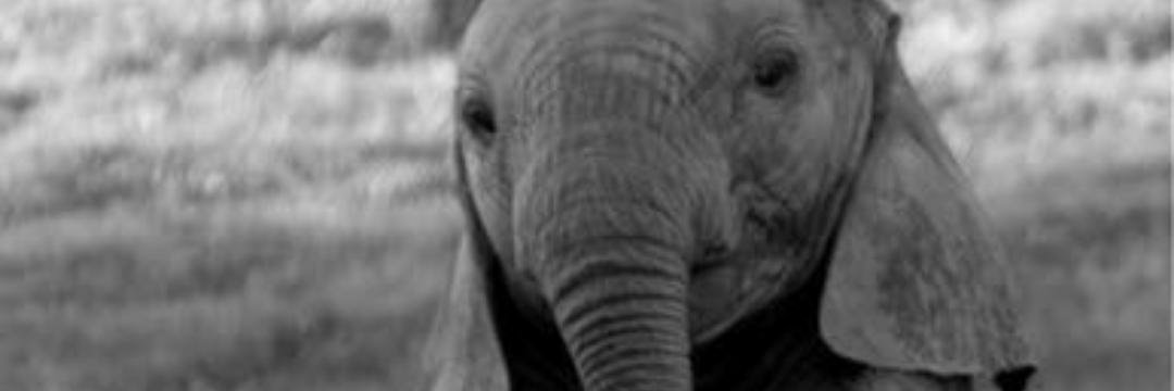 kfgjgjht's profile banner image