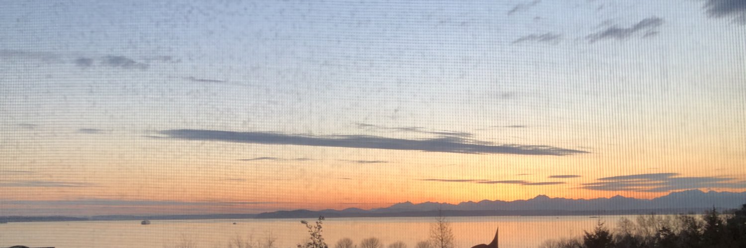leftinseattle's profile banner image