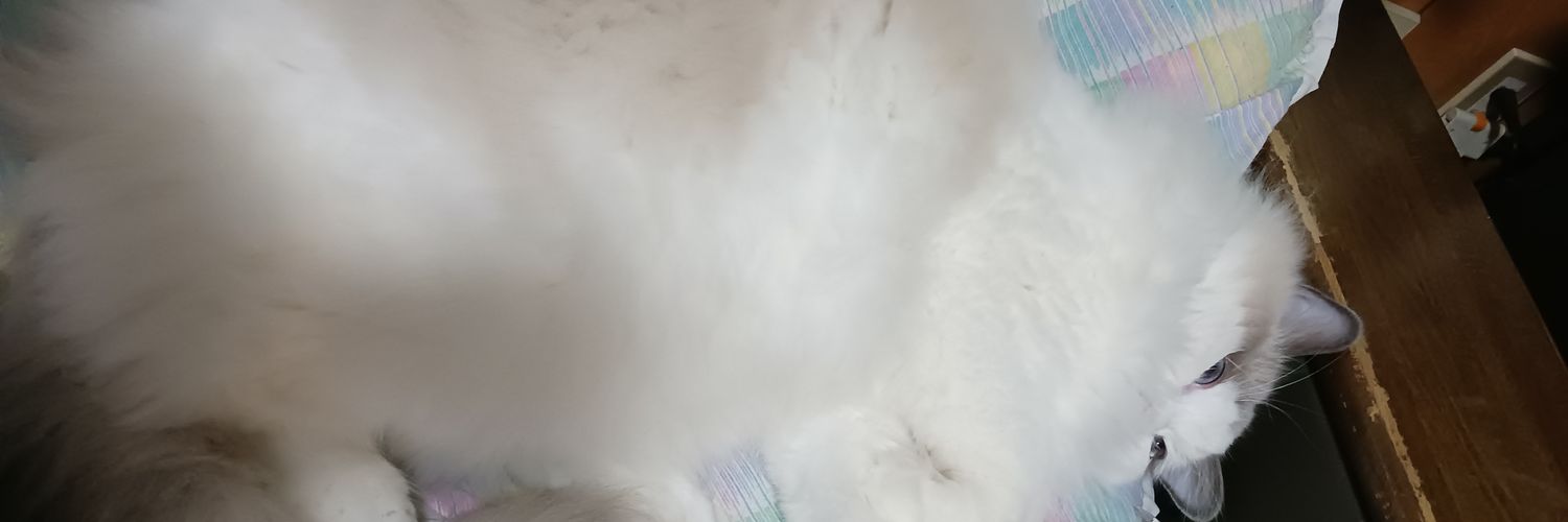 takesuzu115's profile banner image