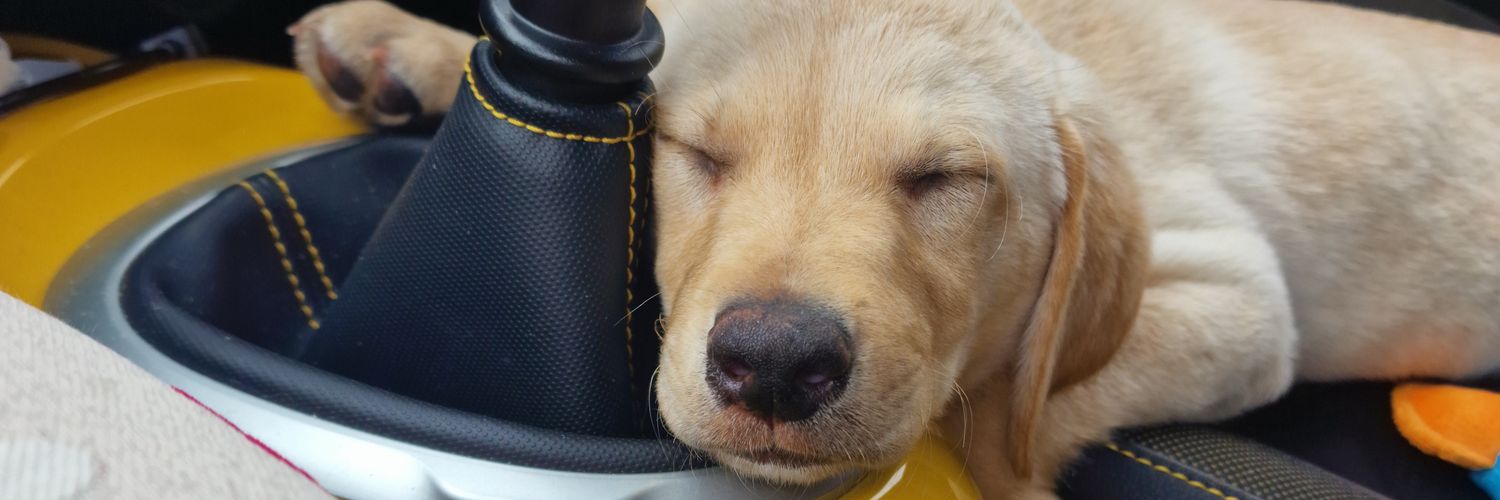 ChloeBesford's profile banner image