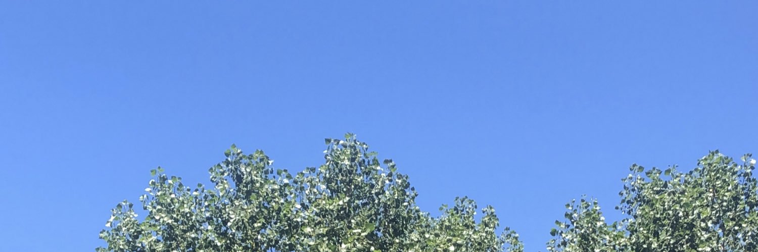 MonaLabban's profile banner image