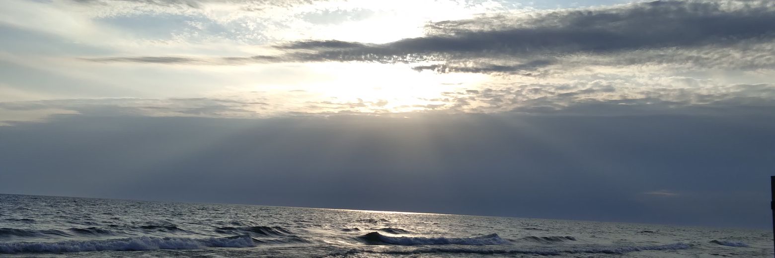 Green Acres Jay banner