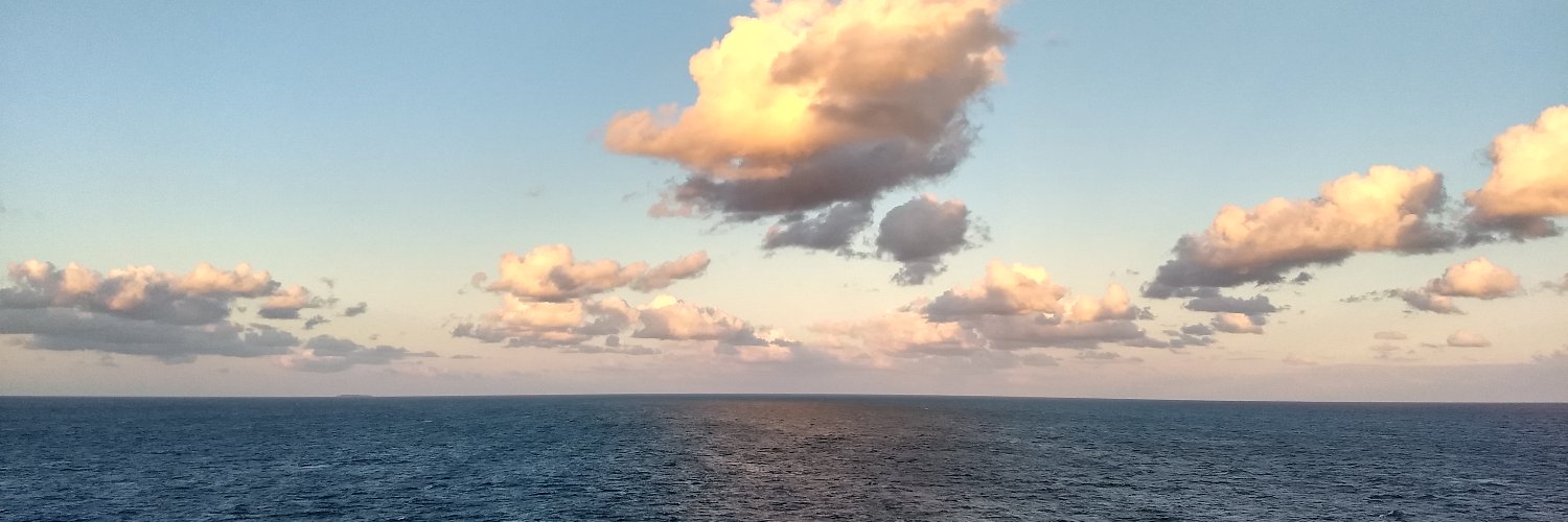 Ronald de Jong banner