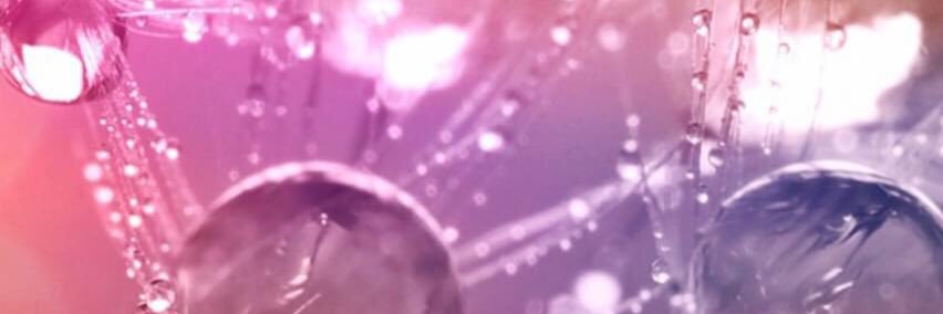 papeem_pp's profile banner image