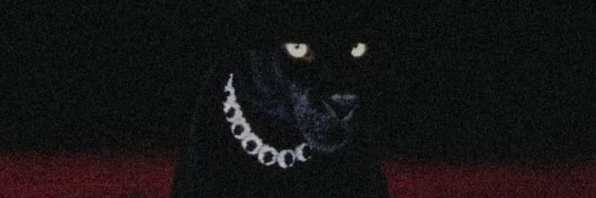 MOOAZYASSER_'s profile banner image