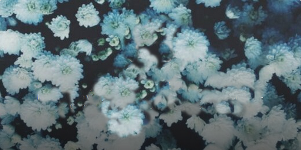 MariaIbma95's profile banner image