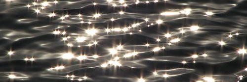 susanschwenn's profile banner image