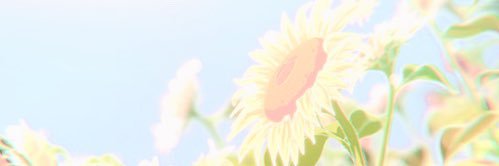 _Caelico_'s profile banner image