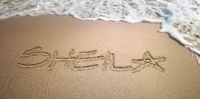SheilaCoscu's profile banner image
