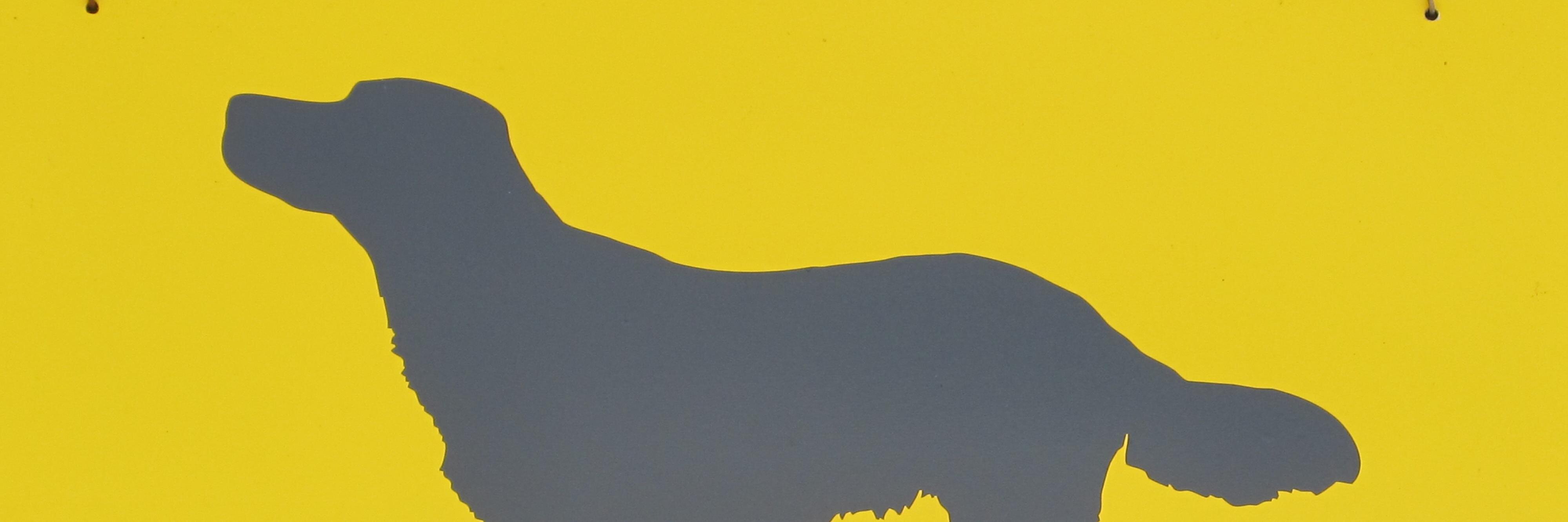 ちゃっぴーみしま banner