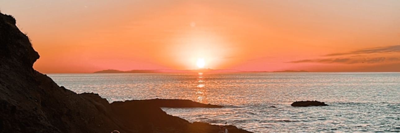 daniellekrippes's profile banner image