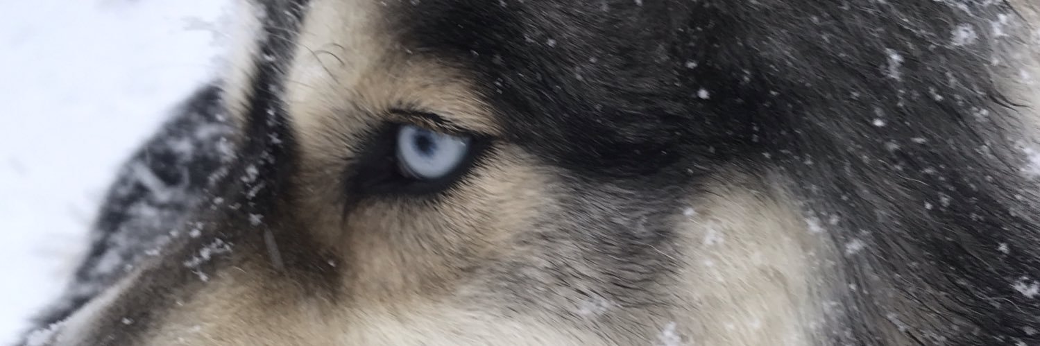 JacobT0usignant's profile banner image