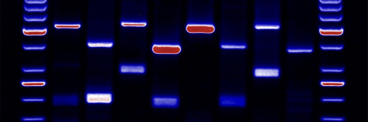 JenMilks_PhD's profile banner image