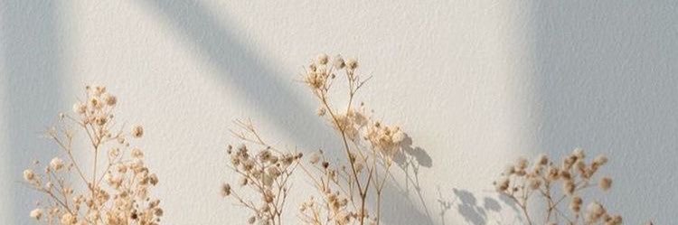 linamariavln's profile banner image