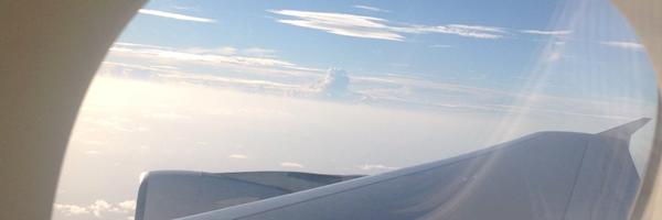 galluzzom Profile Banner