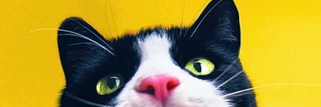 otsubu413's profile banner image