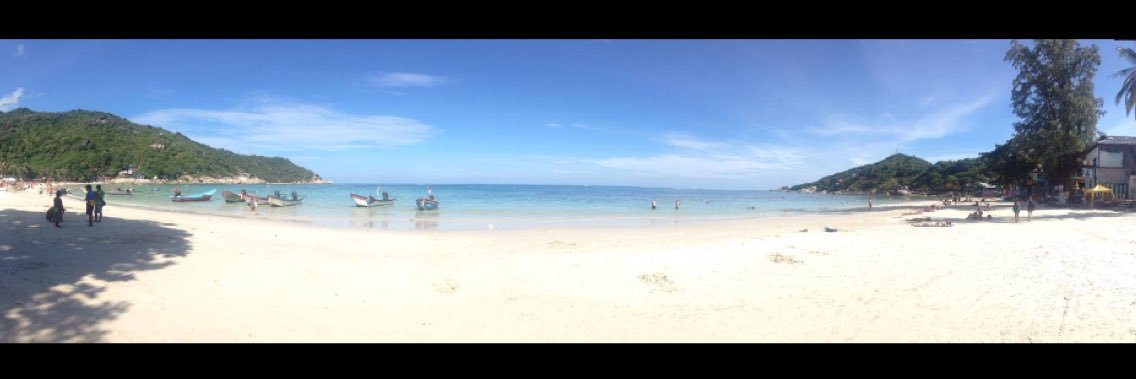 Will Higginson banner