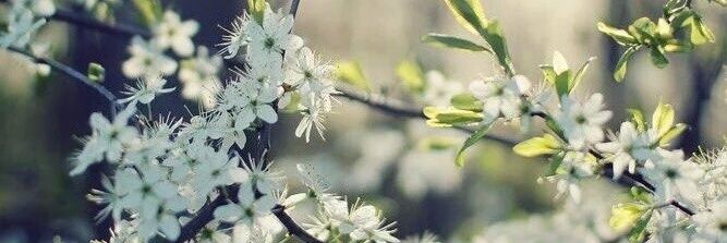 _loveyougoodbye's profile banner image