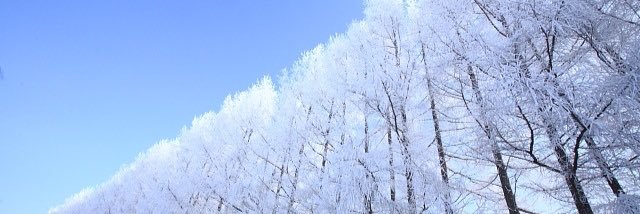 berukabe1's profile banner image