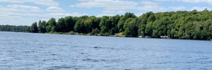 alyssa_boltik's profile banner image
