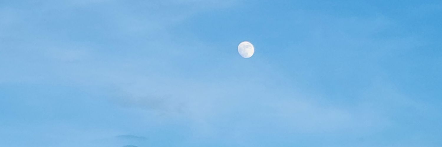 CalladayaNO's profile banner image