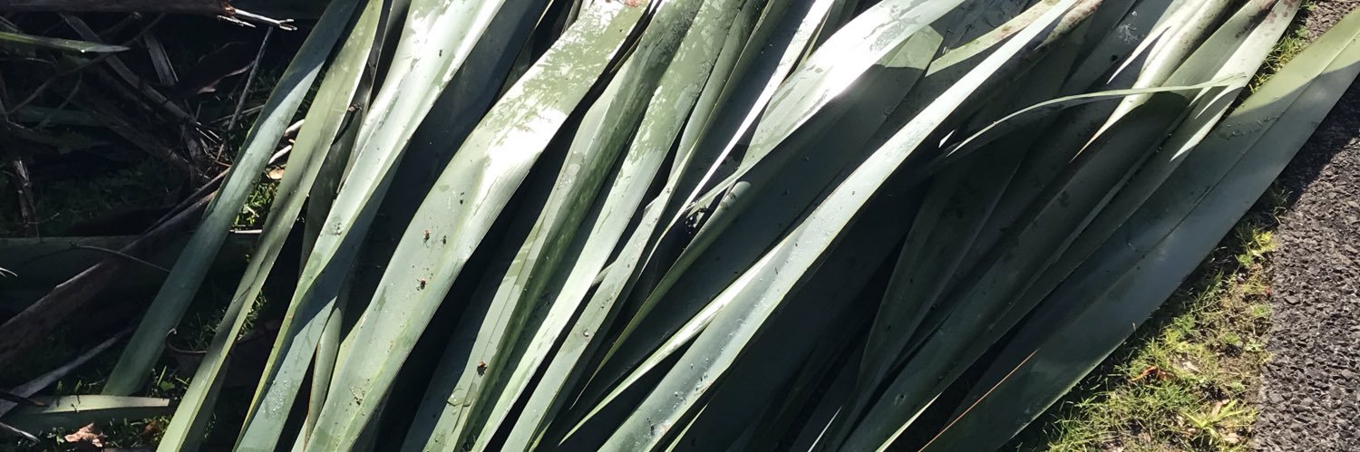 Trying to GetLost banner