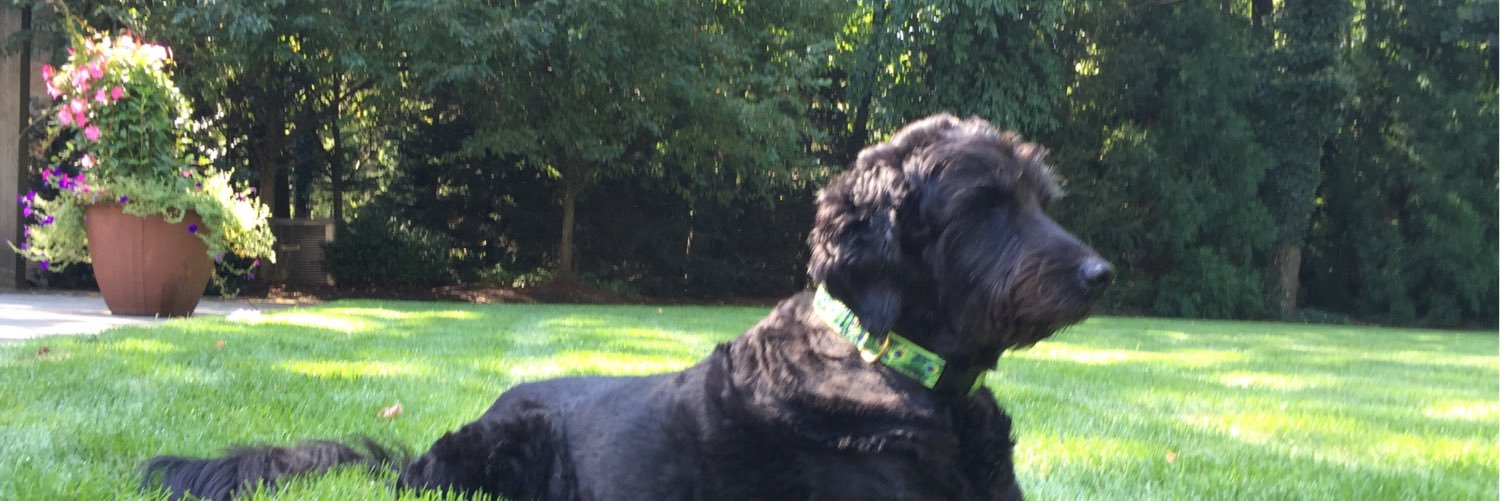 FourDogHouse's profile banner image