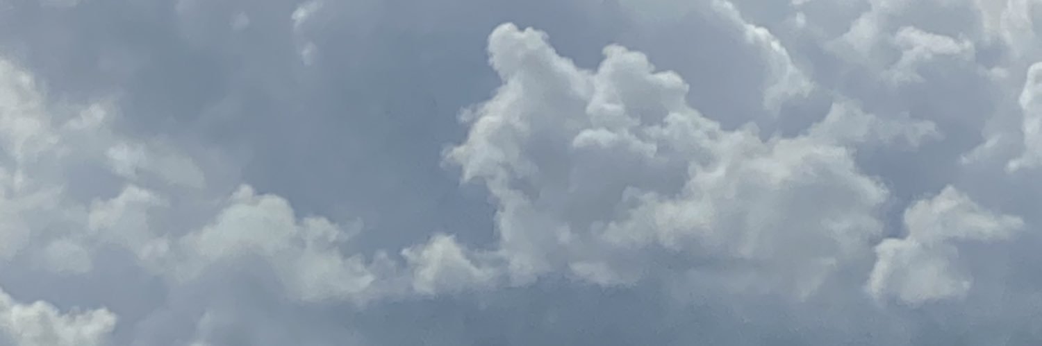 wheretheywander's profile banner image