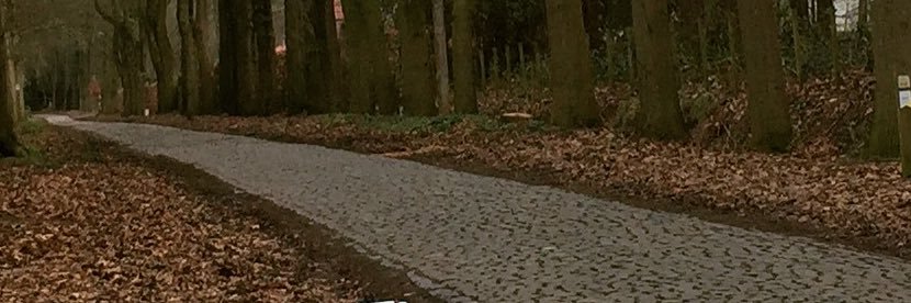 Bert De Backer banner