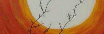 719271's profile banner image