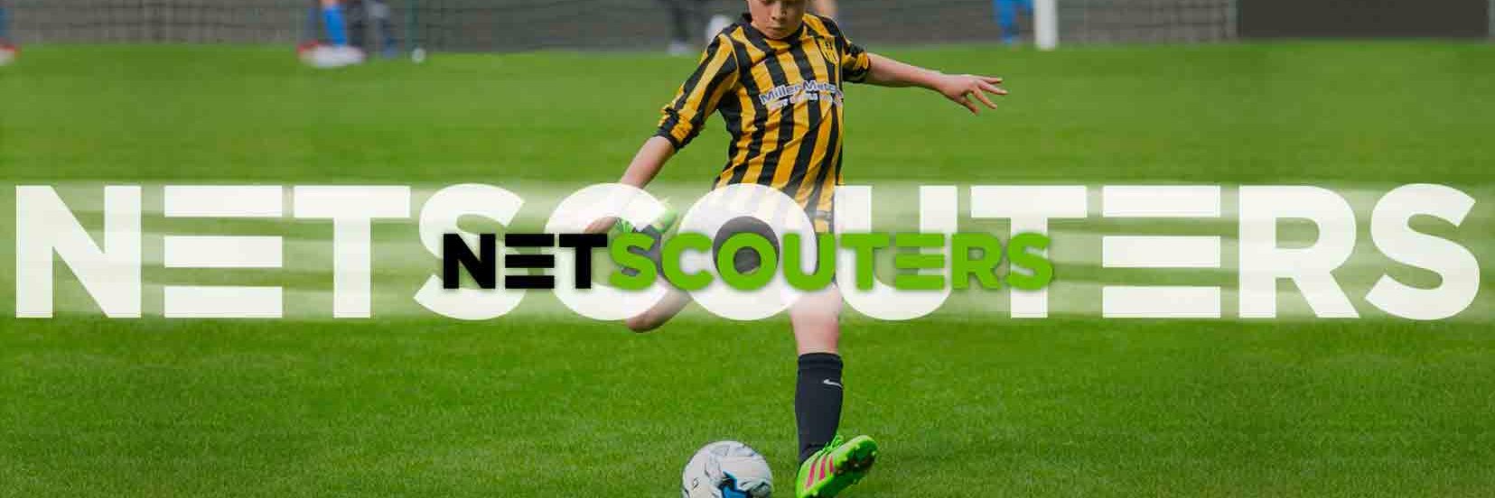 NetScouters banner