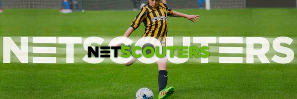 NetScouters Profile Banner