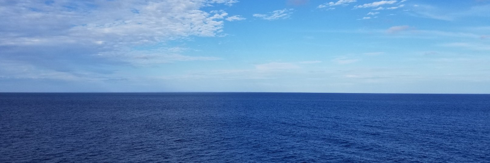 MsCZen's profile banner image
