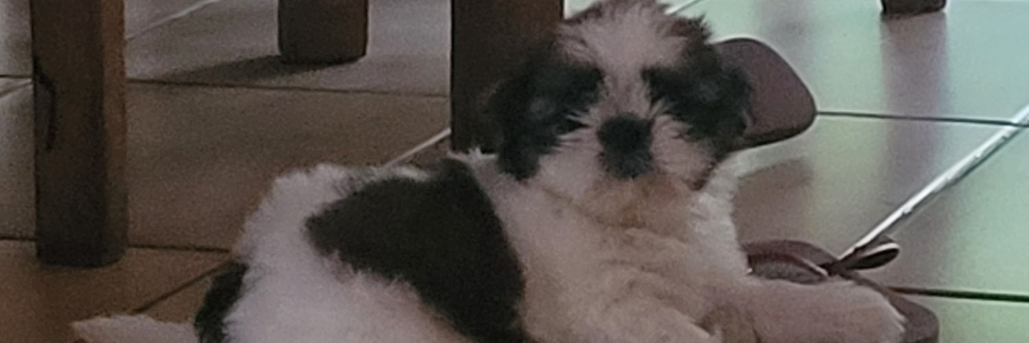 anarlevino's profile banner image