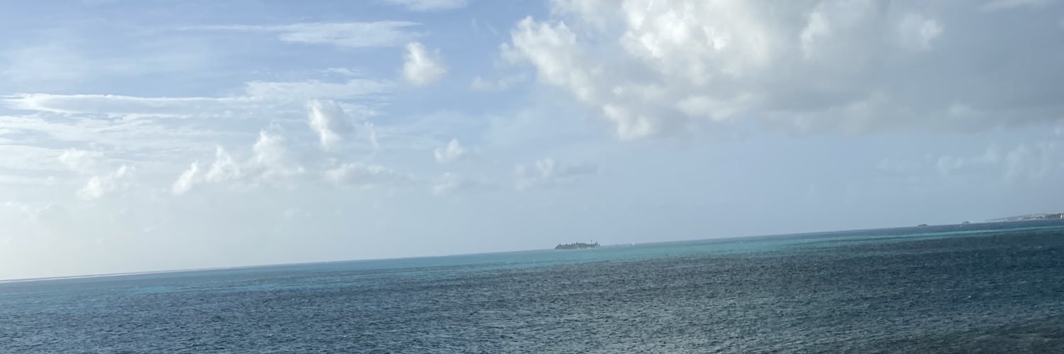 TAIDMV's profile banner image